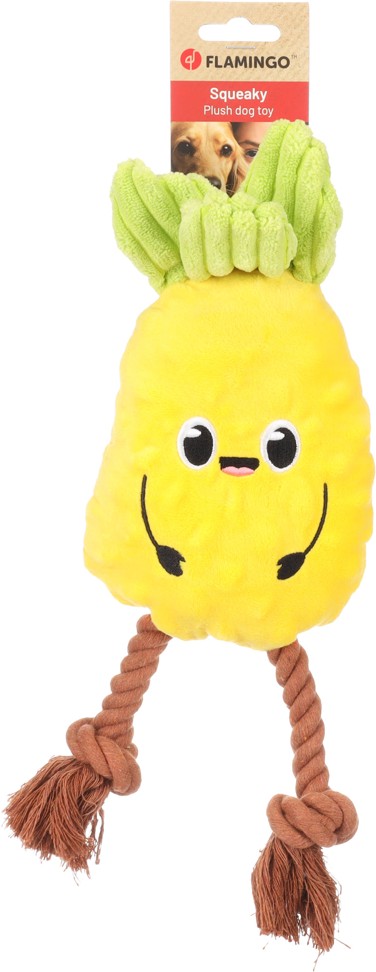 HS BUBTO ANANAS MET TOUW GEEL