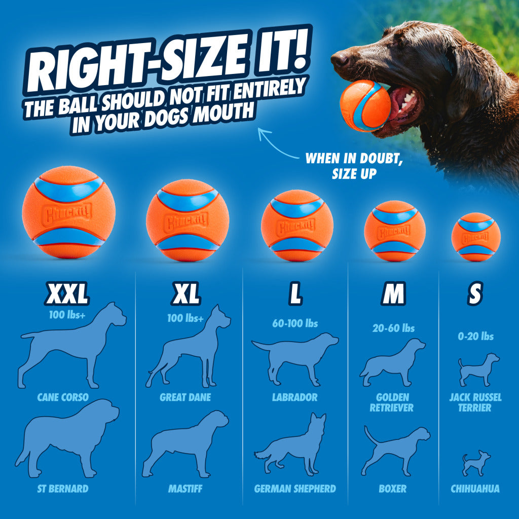 Chuckit! Ultra Ball S/M (2-pack)