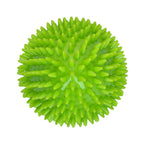 Dog Comets Cosmic Egg L