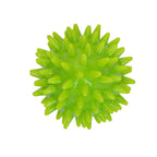 Dog Comets Cosmic Egg M