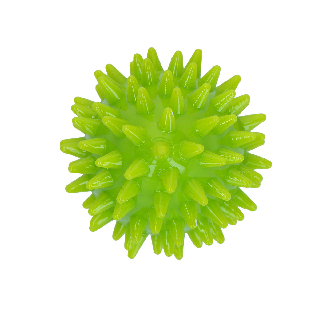 Dog Comets Cosmic Egg M