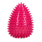 Dog Comets Cosmic Egg L