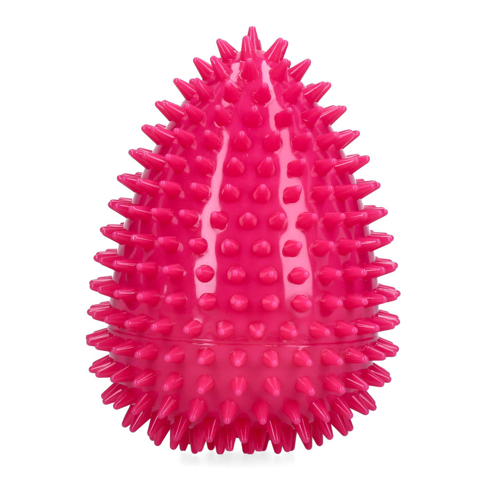 Dog Comets Cosmic Egg L