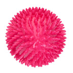 Dog Comets Cosmic Egg L