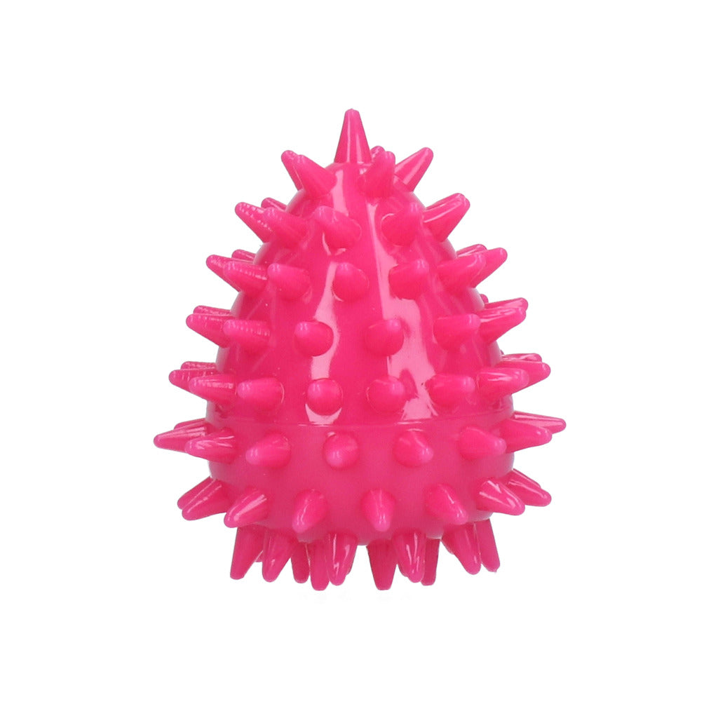 Dog Comets Cosmic Egg S