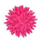 Dog Comets Cosmic Egg S