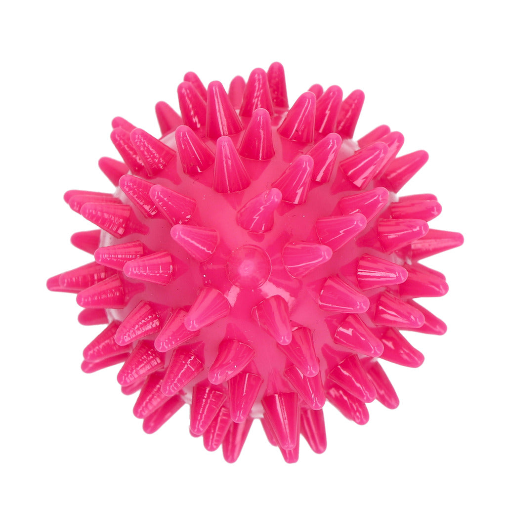 Dog Comets Cosmic Egg M