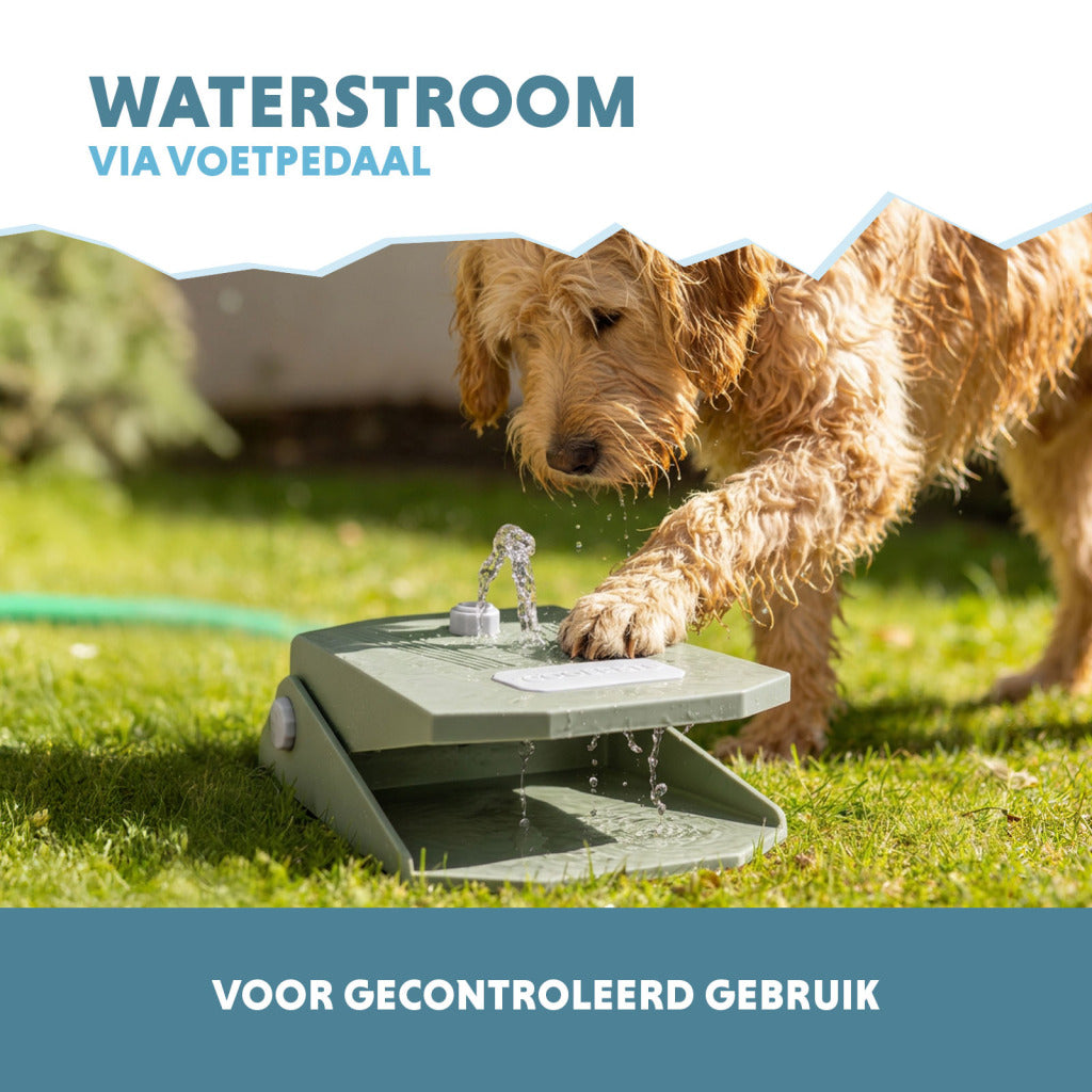 Coolpets Splash Water Fountain