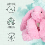 Cozy Dog Bunny