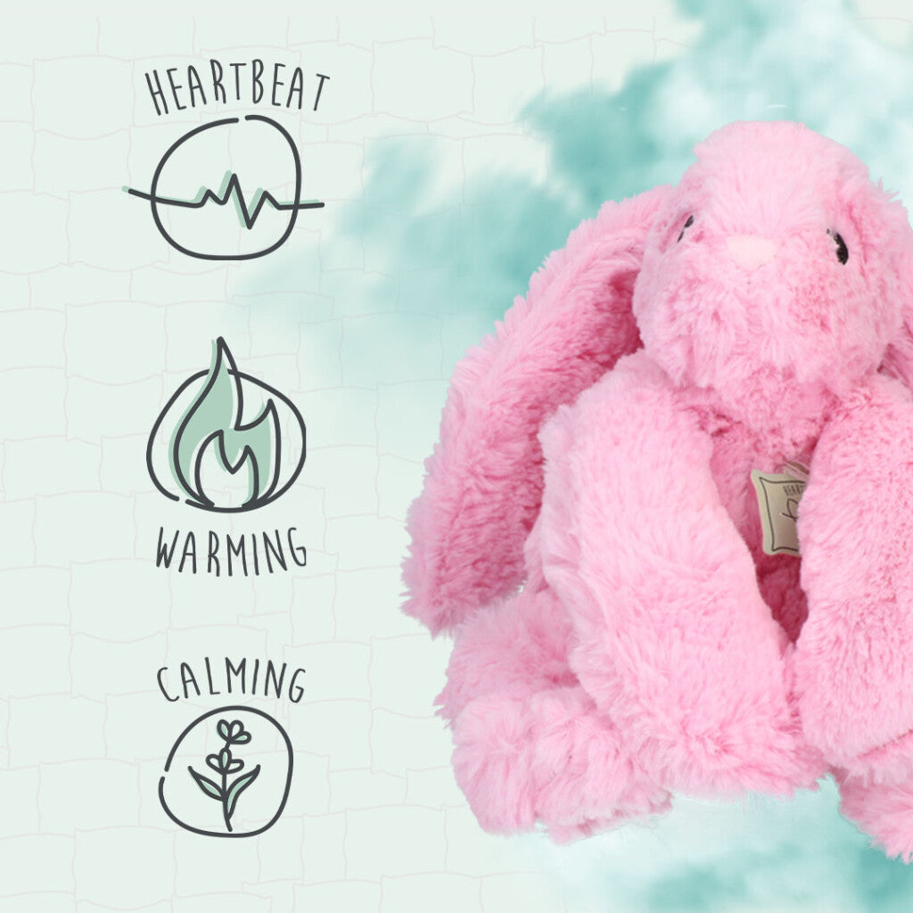 Cozy Dog Bunny