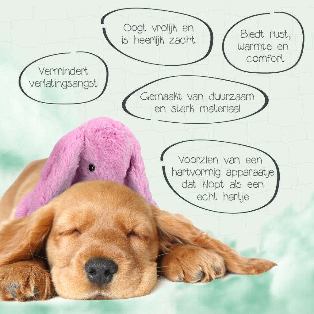 Cozy Dog Bunny